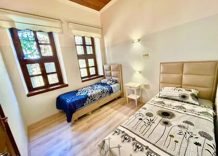 Necip Bey Elegant Villa *