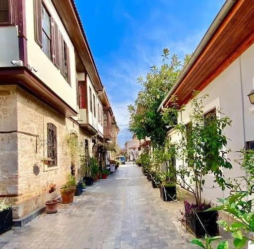 Necip Bey Elegant Villa *