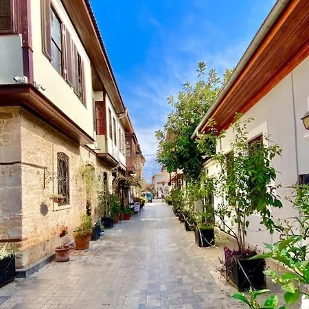 Necip Bey Elegant Villa *